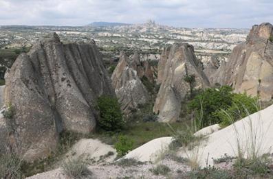 Fotoalbum: Leguane San Ignacio (Belize) 02.09.- 16.09.2023 (001)